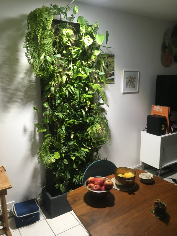 Mur vegetal chez particulier
